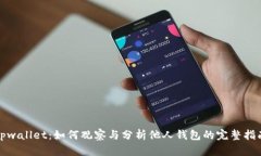 tpwallet：如何观察与分析他